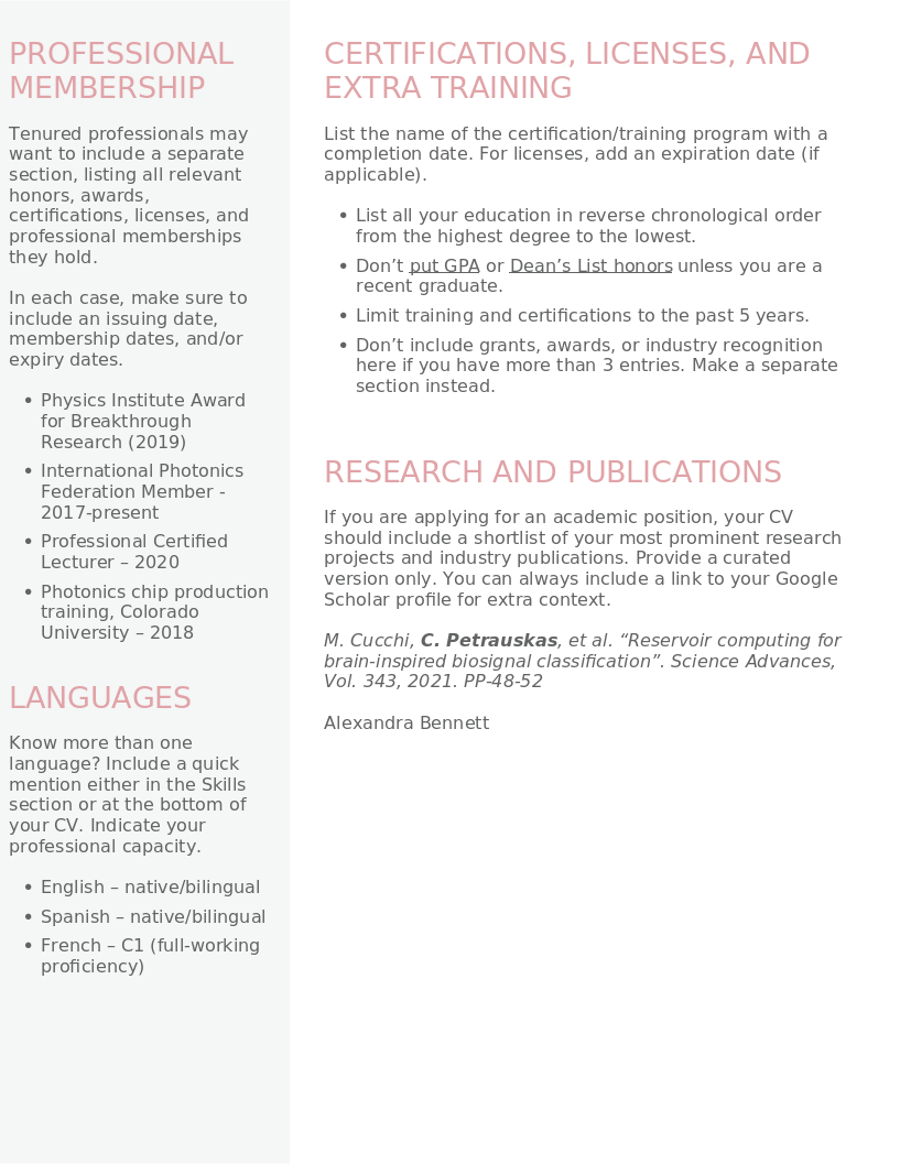 CV Template Deputy preview